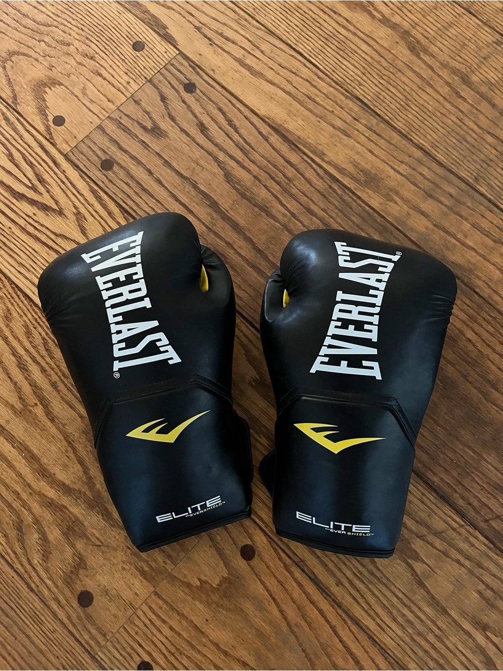 Everlast Training Boxing Gloves